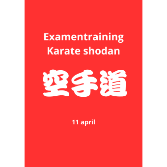 Examentraining karate Shodan 11 april