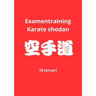 Examentraining karate Shodan