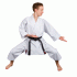 Kaiten Monarch kata